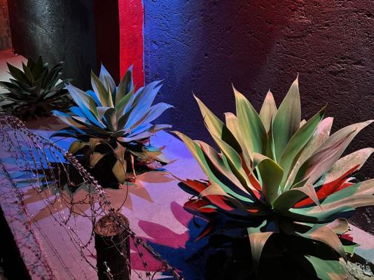 Lake Boutique Hotel - 248582