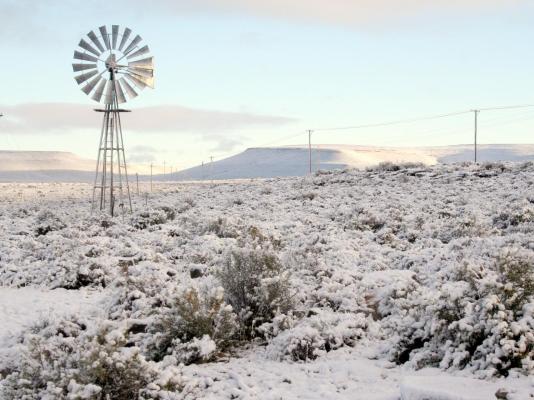 Perlman House - 248597