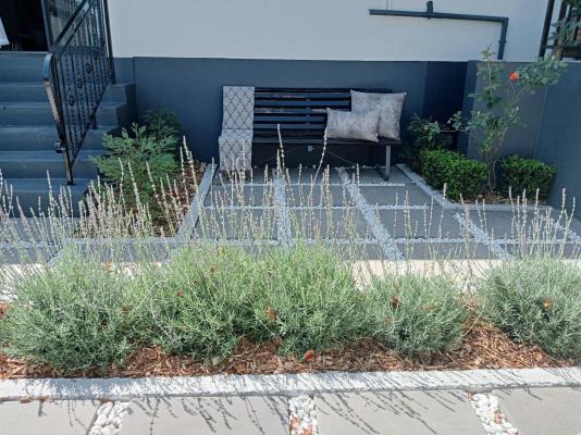 Magnolia Guesthouse - 248666