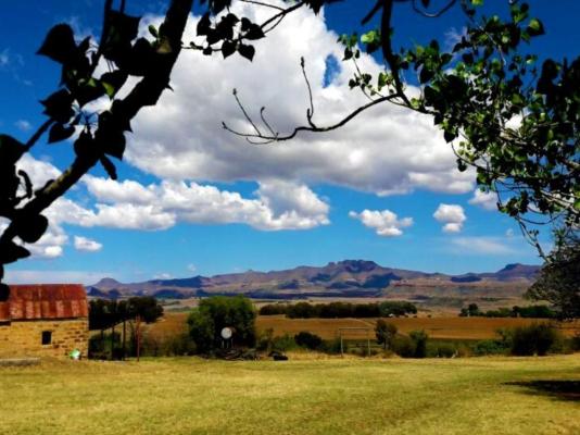 Mont Plaisir Guest Farm - 248726