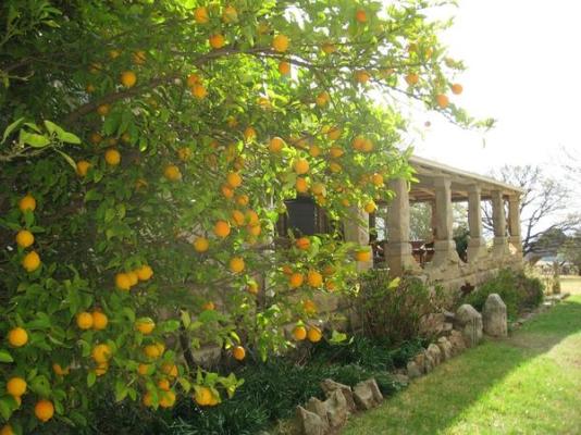 Mont Plaisir Guest Farm - 248727