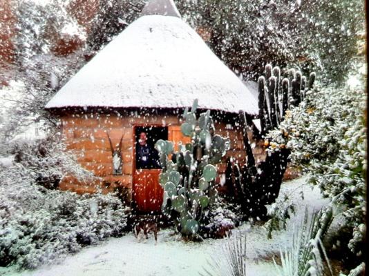 Mont Plaisir Guest Farm - 248750