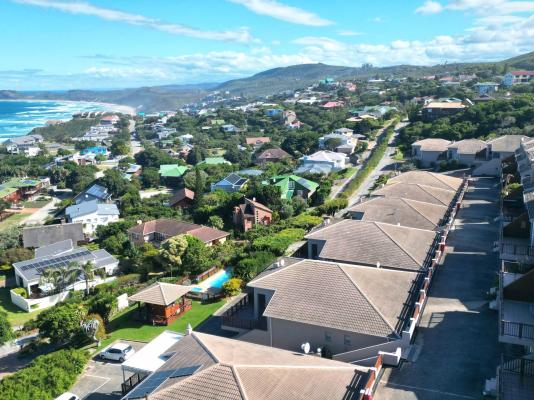 Waves & Whales - 248912