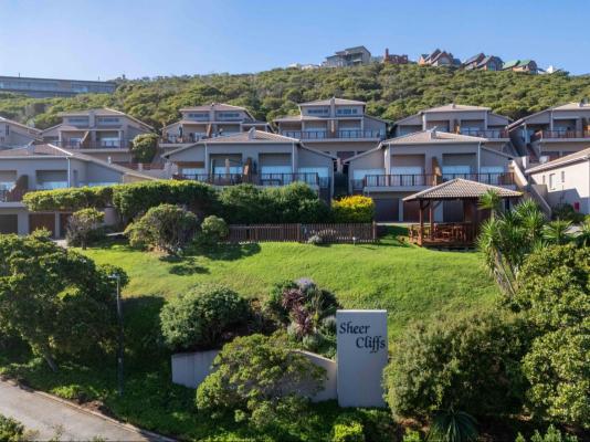 Waves & Whales - 248913