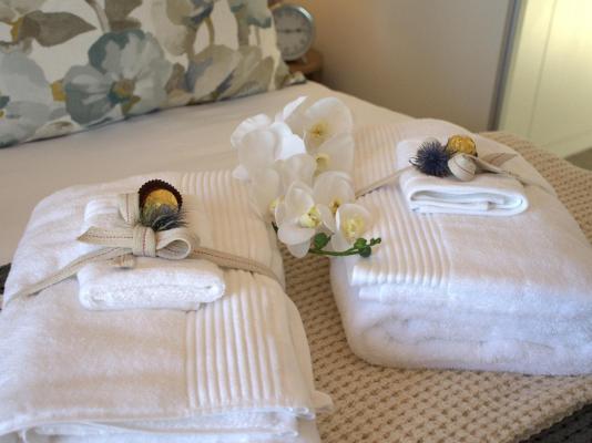 Waves & Whales - 248925