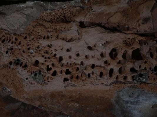 Awelani Lodge - 249031