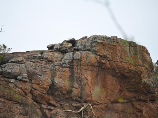 Awelani Lodge - 249032