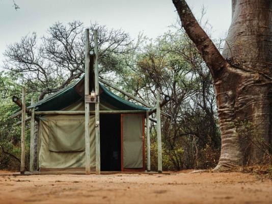 Awelani Lodge - 249040