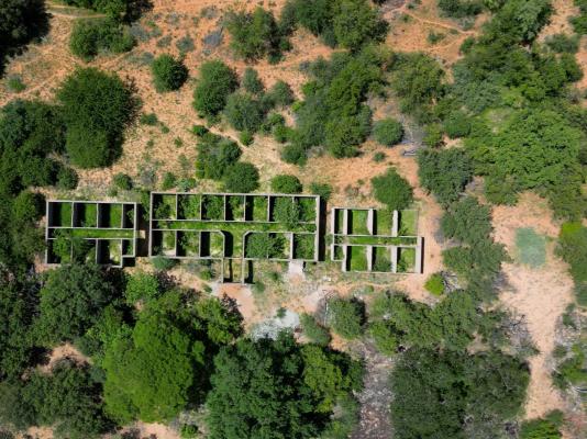 Awelani Lodge - 249064