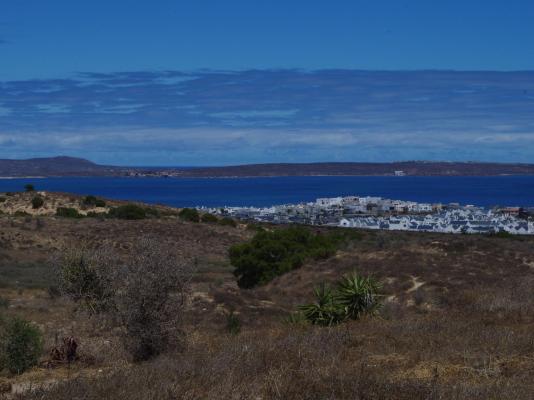 Black Eagle's Rest - 249127