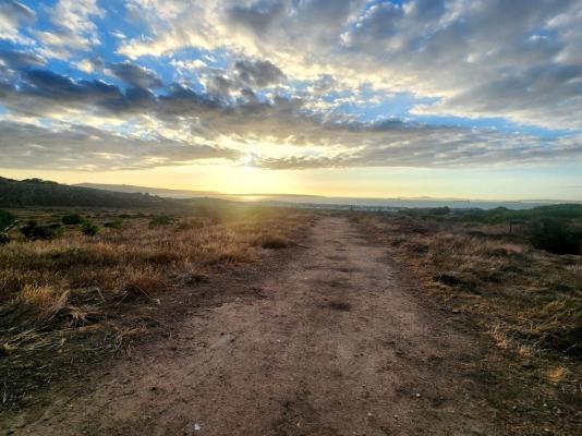 Black Eagle's Rest - 249128