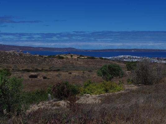 Black Eagle's Rest - 249131