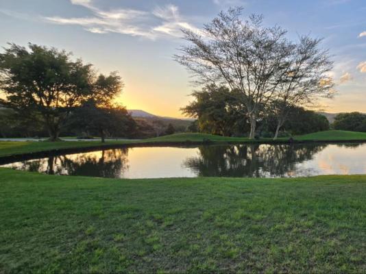 Bush Xplorers - 249178