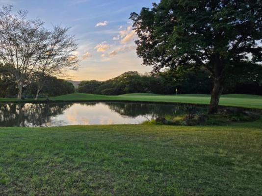 Bush Xplorers - 249179