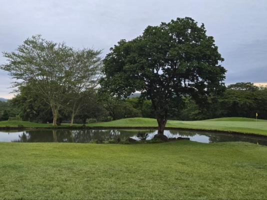 Bush Xplorers - 249180