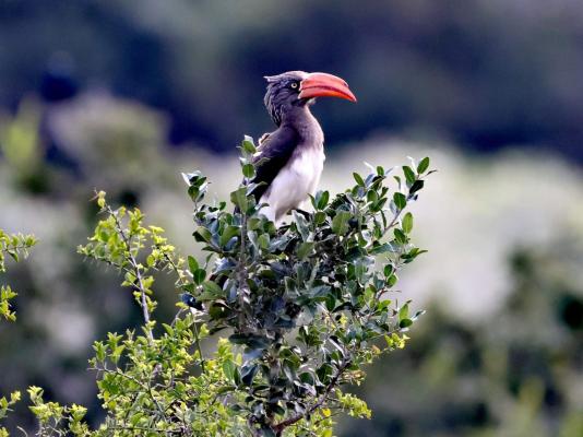 Forest View Luxury Farm Stay - 249247