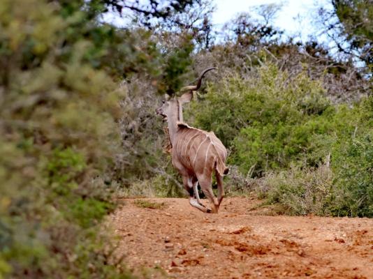 Forest View Luxury Farm Stay - 249248