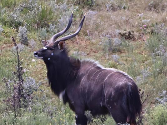 Forest View Luxury Farm Stay - 249249