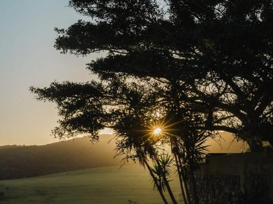 Forest View Luxury Farm Stay - 249253