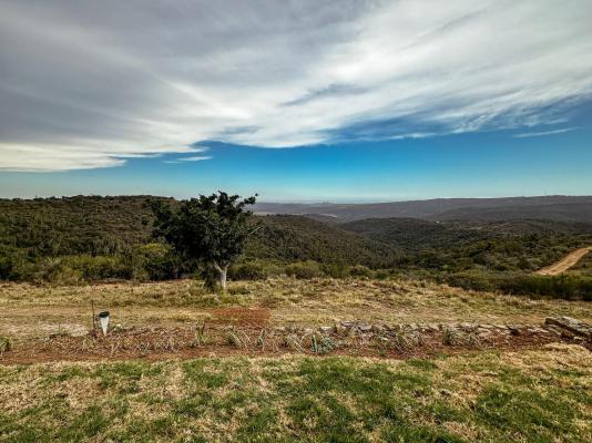 Forest View Luxury Farm Stay - 249263