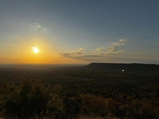 Sundara Safaris - 249522