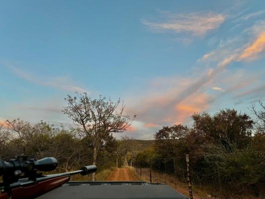 Sundara Safaris - 249528