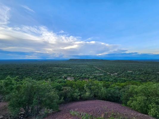 Sundara Safaris - 249537