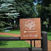 Wild Tree Lodge - 249691