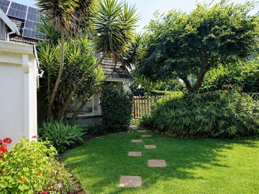 Wild Tree Lodge - 249696