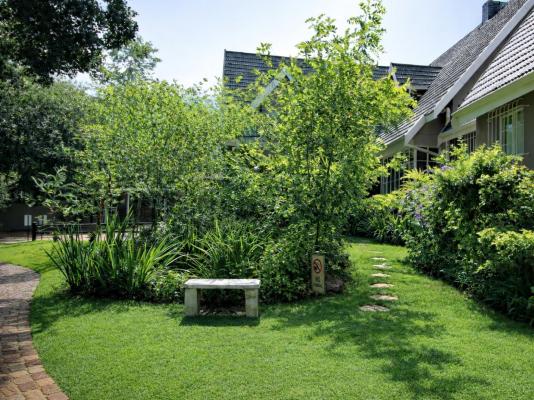 Wild Tree Lodge - 249697