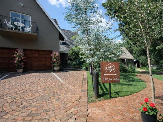 Wild Tree Lodge - 249699