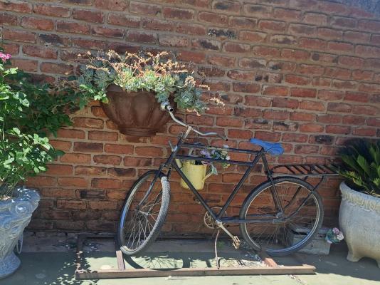 Sundown Lodge and Conference - 249730