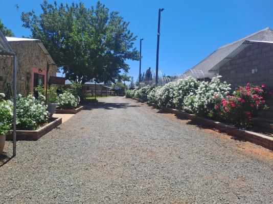 Sundown Lodge and Conference - 249732