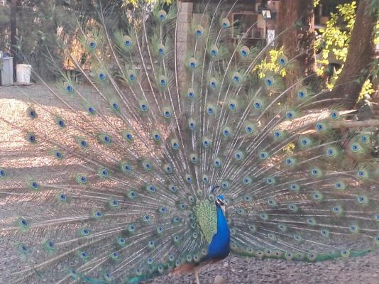 Sundown Lodge and Conference - 249734