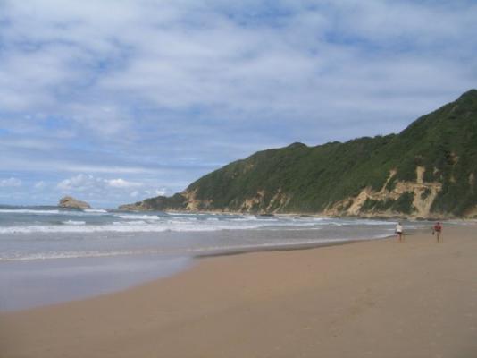 Blue Flag Beaches