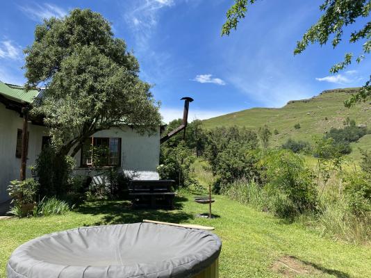 Sani Lodge and Cottages - 249847