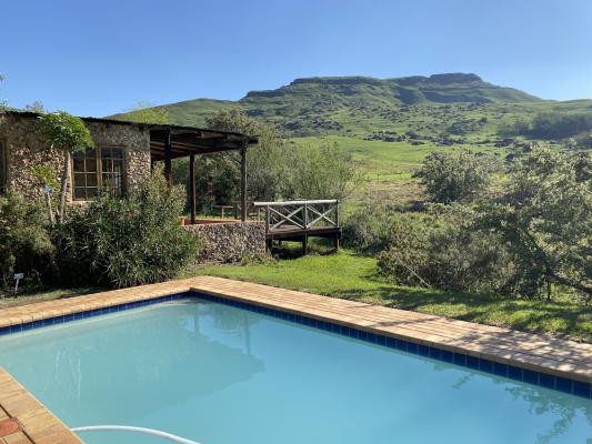 Sani Lodge and Cottages - 249871