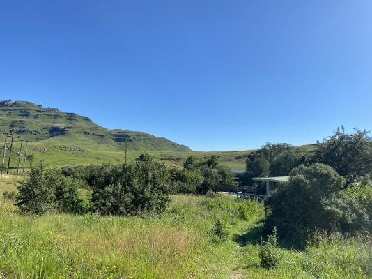 Sani Lodge and Cottages - 249879