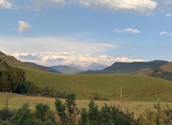 Sani Lodge and Cottages - 249881