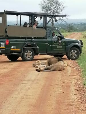 Grand Kruger Lodge and Spa - 249942