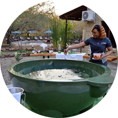 Grand Kruger Lodge and Spa - 249949