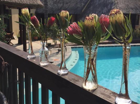 La Lechere Guest House - 250115