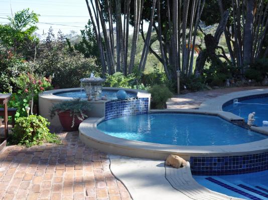 Loerie Lodge Guest House - 250196