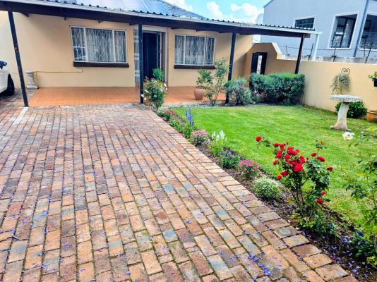 Tau Golden Mane - 250634