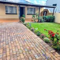 Tau Golden Mane - 250634