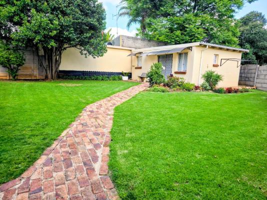 Tau Golden Mane - 250637