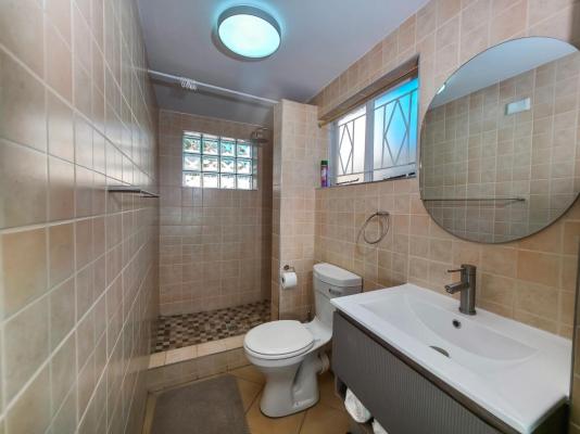 Tau Golden Mane - 250660