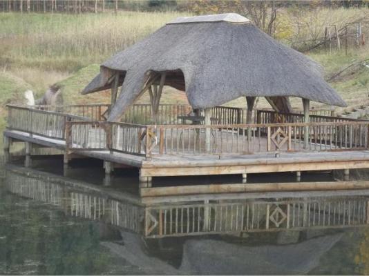 Emahlathini Guest Farm - 250679