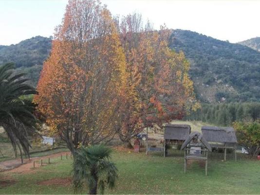 Emahlathini Guest Farm - 250680