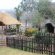 Emahlathini Guest Farm - 250691